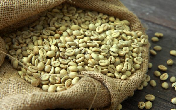 Robusta Green Coffee Wholesale